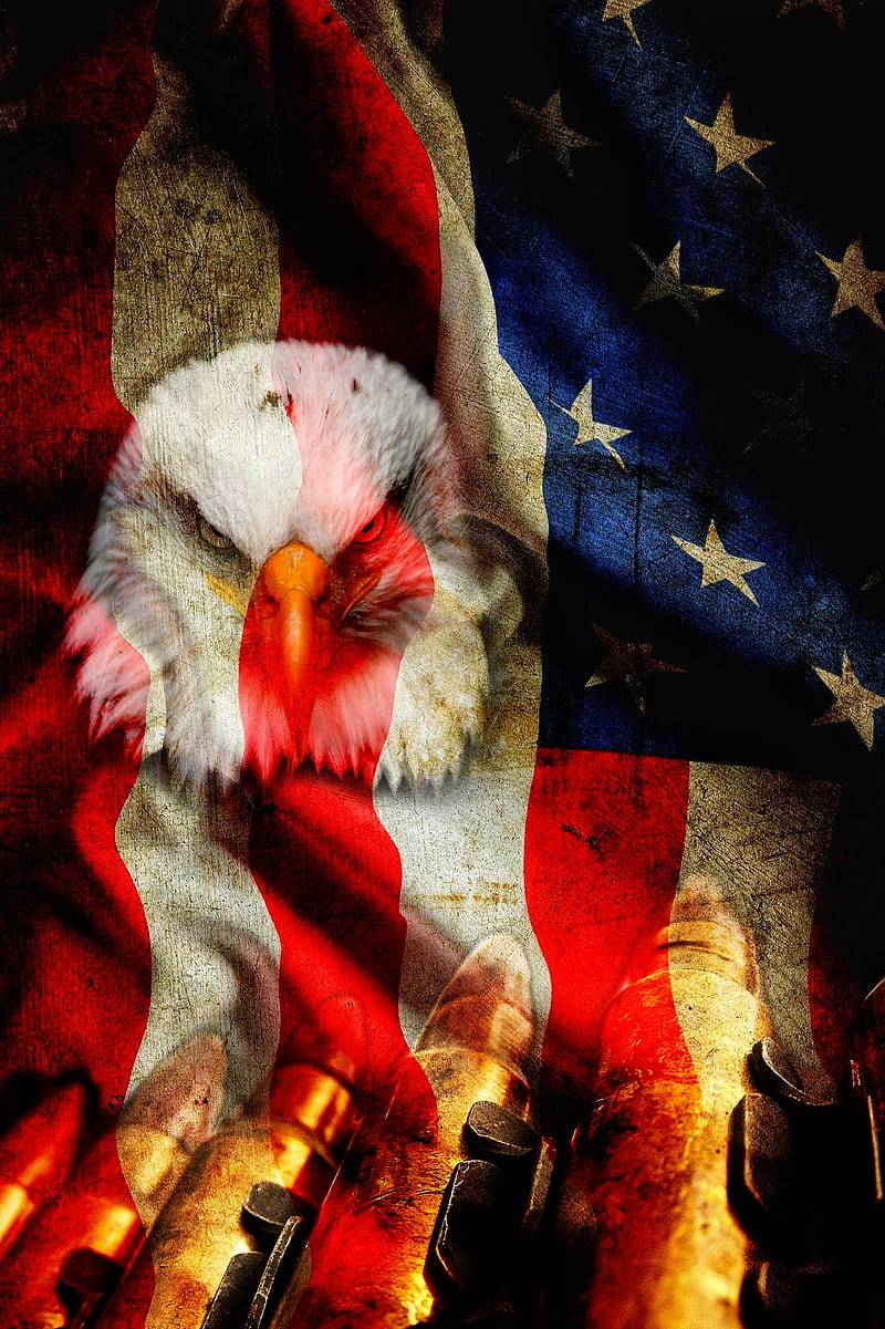 Home of the Brave, american flag, bald eagle, contrast, cool, dom, patriotism, red, HD phone wallpaper