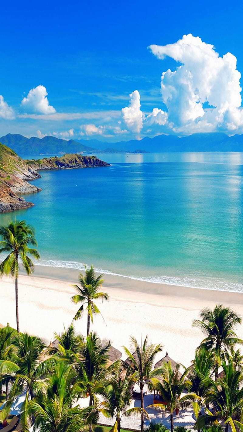 beach, bonito, blue, clouds, ocean, sea, summer, trees, HD phone wallpaper