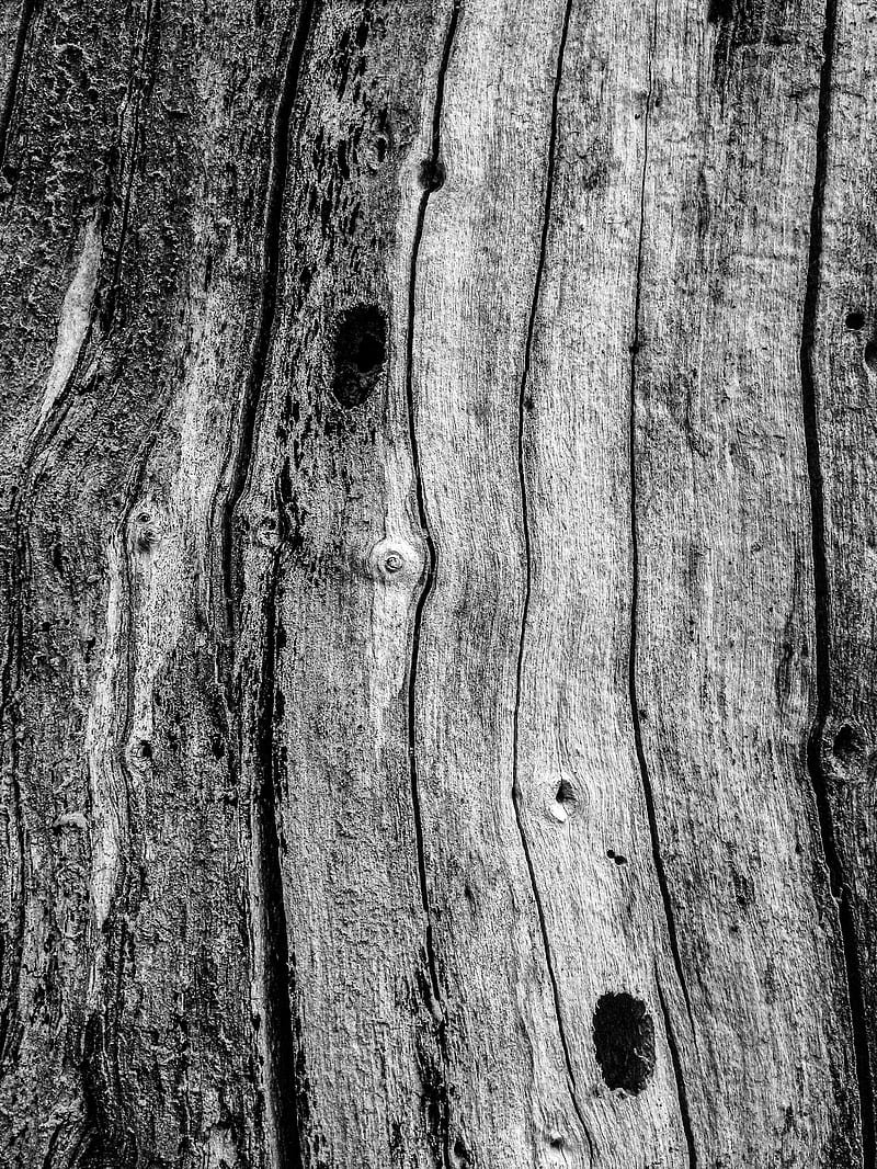 Tree, amoled, asus, bark, macro, monocrome, pattern, samsung, HD phone wallpaper