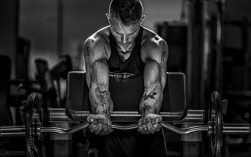 Bodybuilding, barbell, biceps, exercises, fitness, gym, HD wallpaper