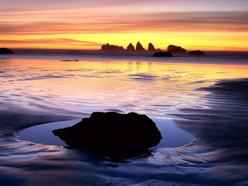 Oregon Islands National Wildlife Refuge, beach, oregon, water, wildlife, seascape, sunset, HD wallpaper
