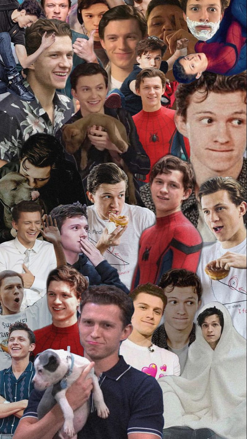 Tom Holland Collage, Tom Holland Funny, HD phone wallpaper | Peakpx