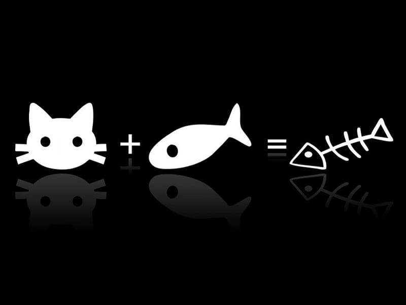 An Equation, symbols, equation, fish, cat face, HD wallpaper