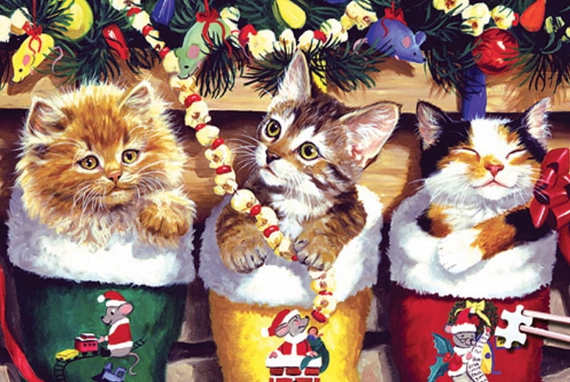 Stocking Stuffers, presents, christmas, stockings, cats, HD wallpaper