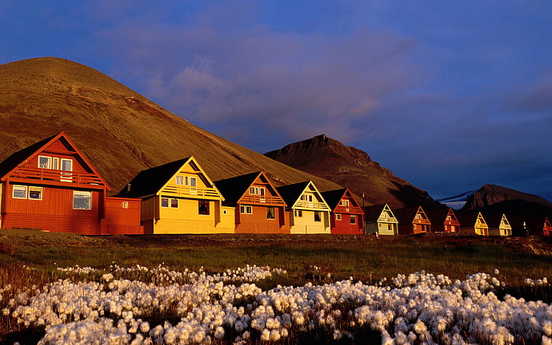 ROW OF COLOFUL HOUSES, blossoms, multicolor, houses, mountains, HD wallpaper