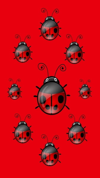 Page 7 | HD #ladybug wallpapers | Peakpx