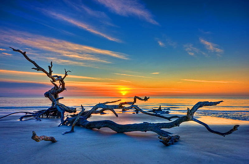 Driftwood, orange sky, beach, sand, ocean, sunset, blue, HD wallpaper