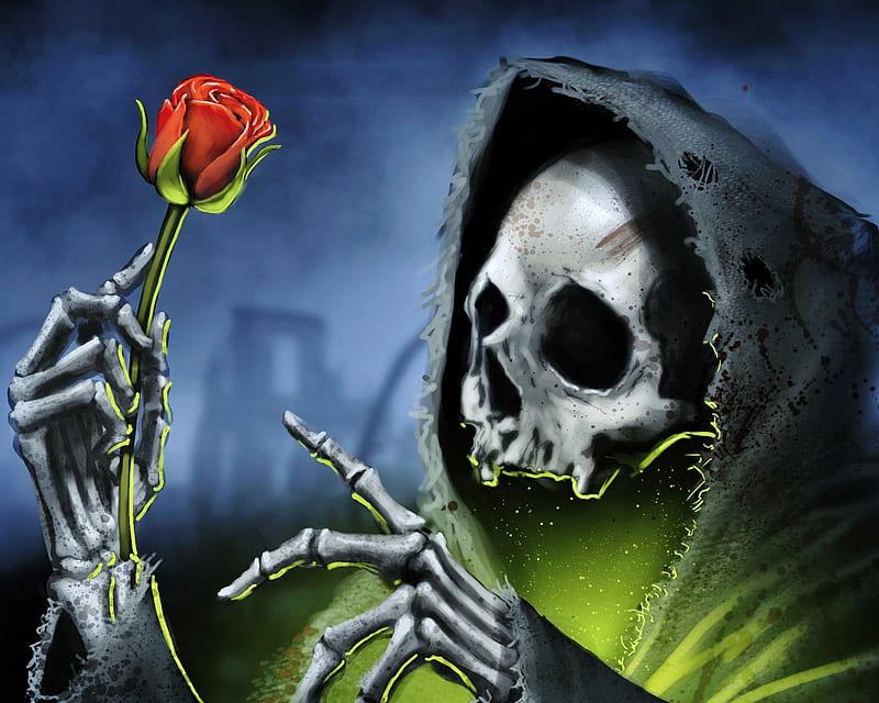 Skull, dark, death, gothic, grim, rose, undead, HD wallpaper