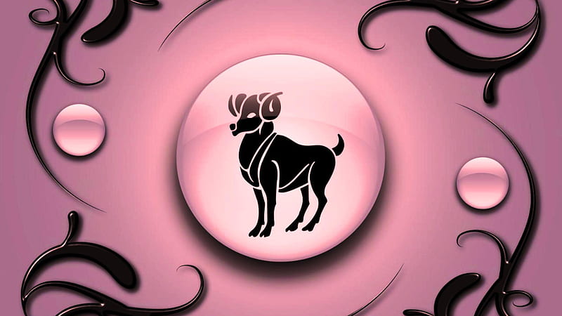 Aries on a pink background with black ornament, HD wallpaper