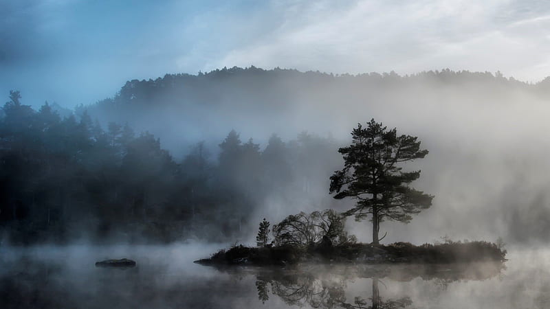 foggy island on lake, forest, mountains, island, lake, fog, HD wallpaper
