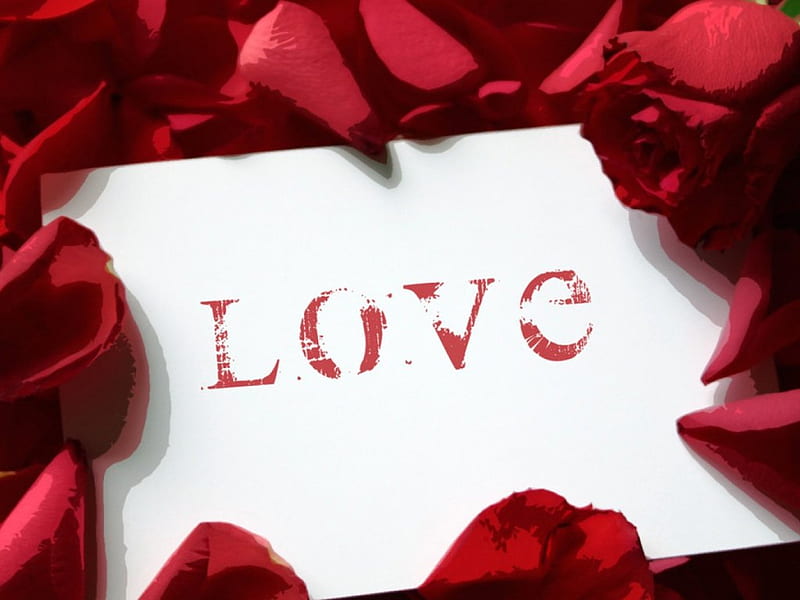 Love Letter, red, red roses, roses, lovers, rose petals, fiancee, envelope, love, letter, HD wallpaper
