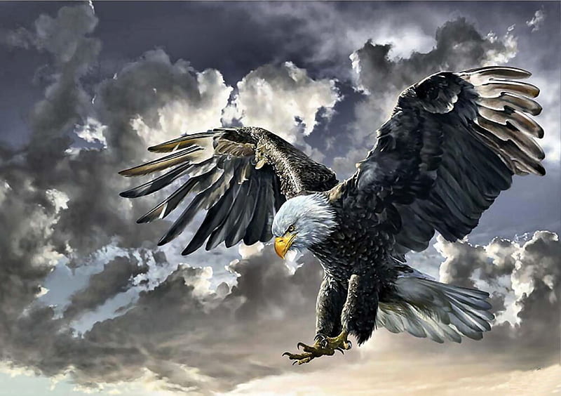 Black and White Bald Eagle, art, bonito, illustration, artwork, animal, bird, avian, painting, wide screen, wildlife, nature, raptor, HD wallpaper
