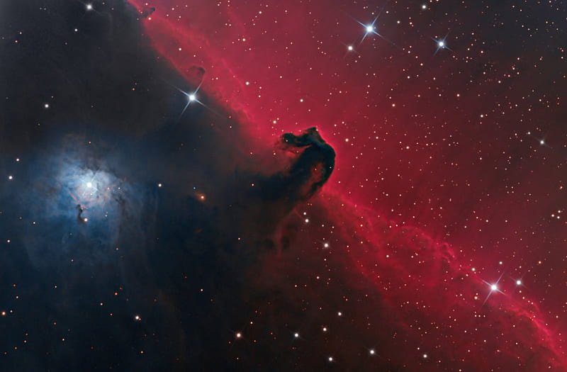 Horse head nebula, sideways, black, red, profile, HD wallpaper