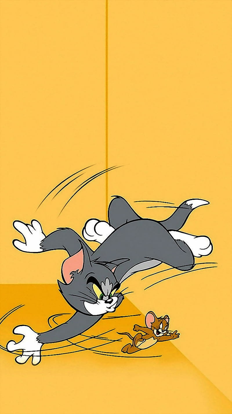 Tom And Jerry, bob, cartoon, fish, peach, pooh, princess, speedy, sponge, surf, tom, HD phone wallpaper