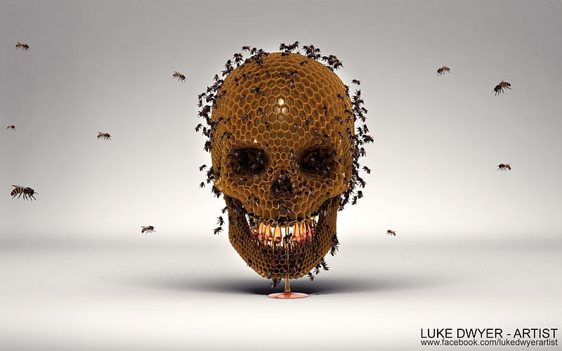 Skull Hive , swarm, death, beehive, hexagon, cool, honey, gothic, scary, hive, skull, HD wallpaper
