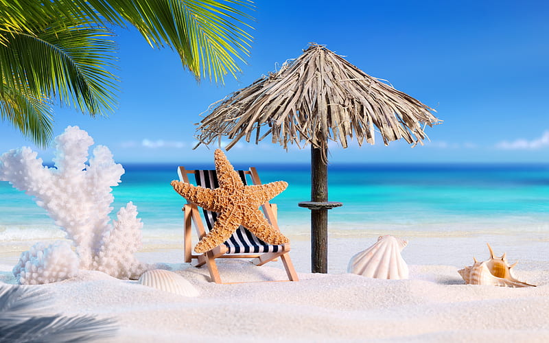 beach, Tropical, Sand, Starfish, Seashell, HD wallpaper