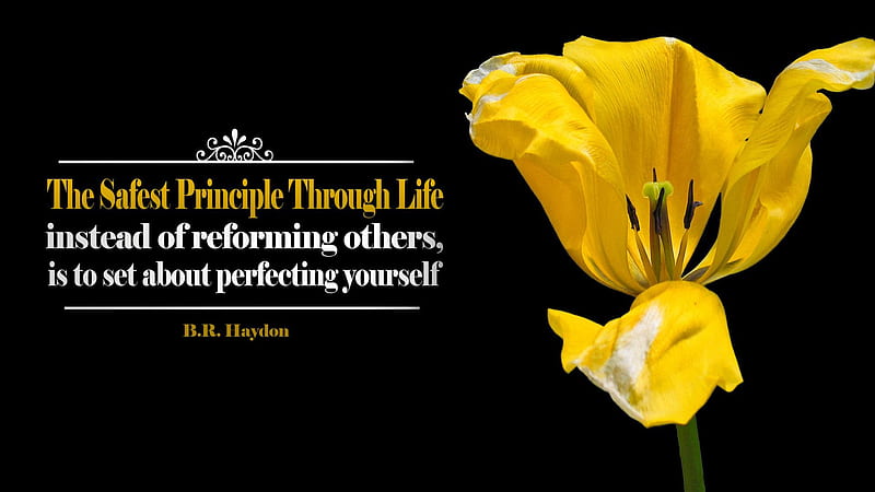 The Safest Principle Through Life Instead Of Reforming Others Is To Set About Perfecting Yourself Inspirational, HD wallpaper