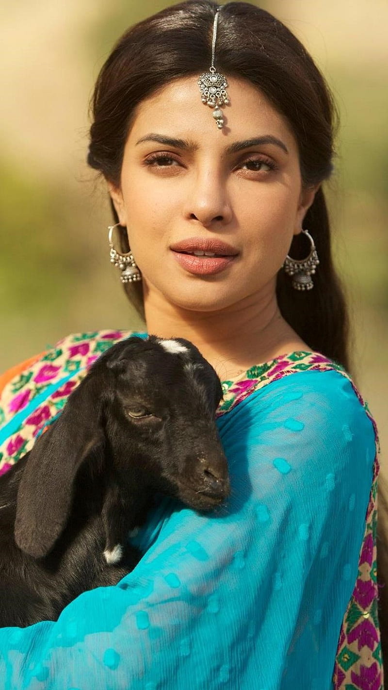 Priyanka Chopra Desi, desi girl, girl, indian celebrities, priyanka chopra,  animal, HD phone wallpaper | Peakpx