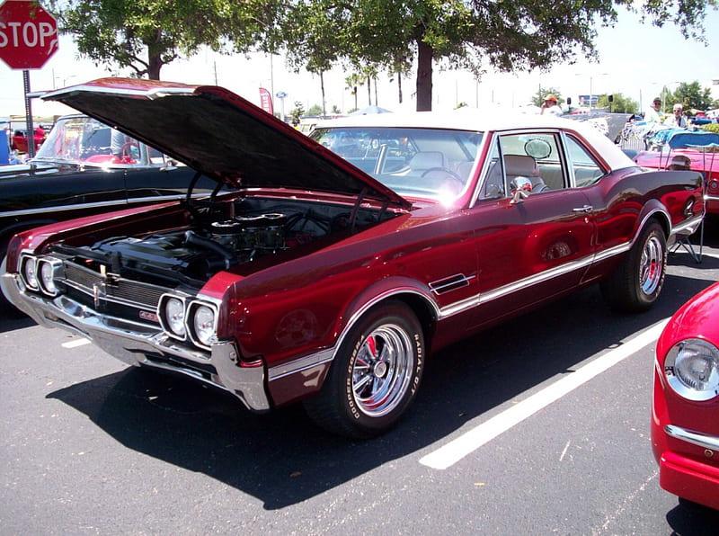 Olds 442, Classic, Oldsmobile, GM, Muscle, HD wallpaper