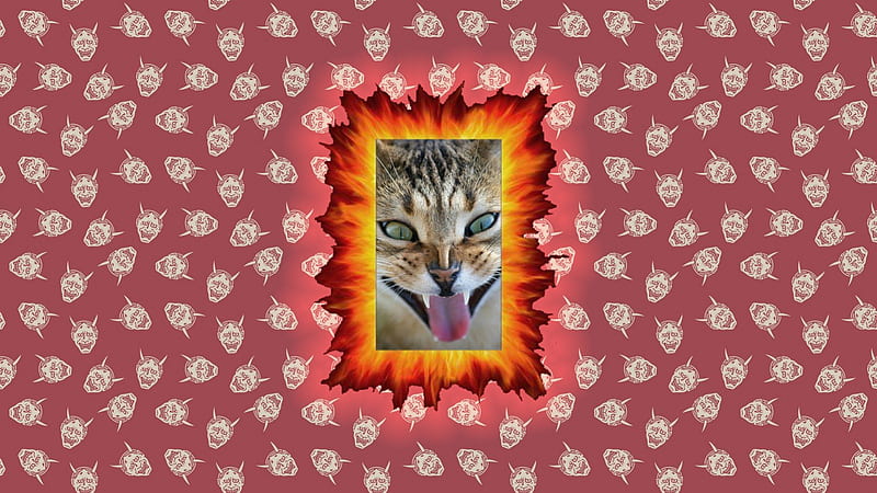 Devil Cat, satan, cat, devil, kitty, HD wallpaper