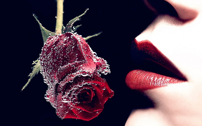 Frozen red, red, rose, flower, black, lips, frozen, woman, lipstick, HD wallpaper