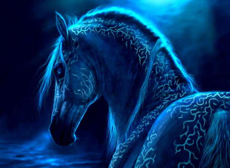 Hermoso caballo de fantasía, fantasía, caballo, abstracto, animal, azul,  Fondo de pantalla HD | Peakpx