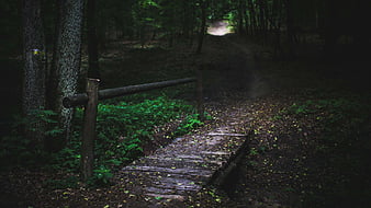 Earth, Path, HD wallpaper