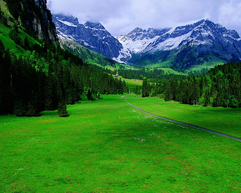Switzerland, bonito, green, landscape, mountain, nature, snow, HD wallpaper