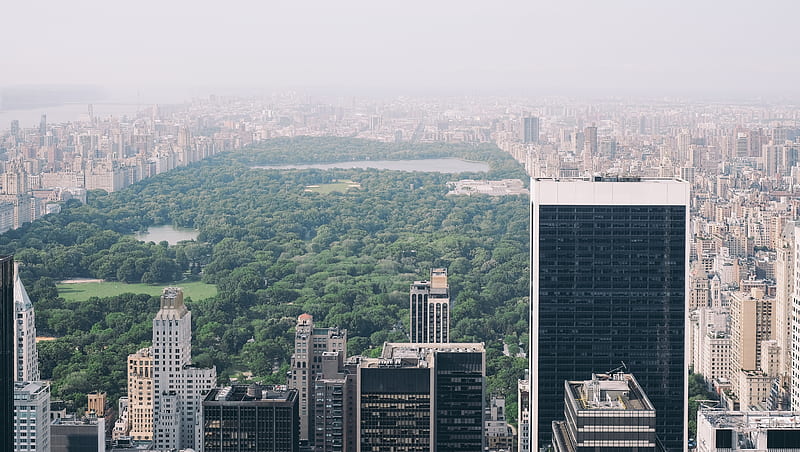 aerial of Central Park, New York, HD wallpaper