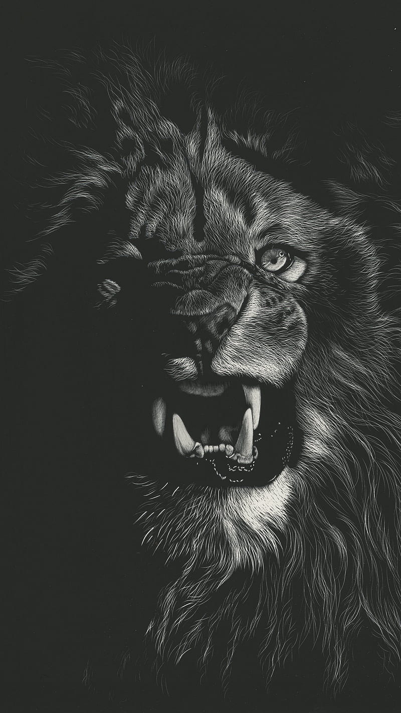 Angry Lion , drawing, bnw, art, grin, roar, HD phone wallpaper
