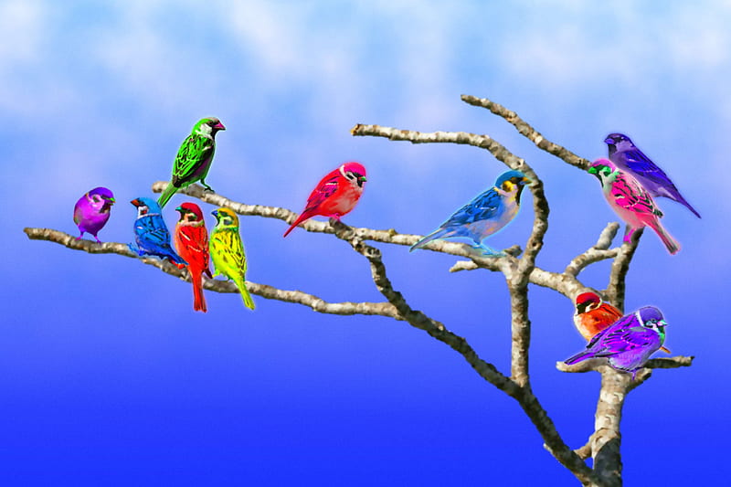 Coloring Passer montanus, coloring, bonito, sparrow, bird, HD wallpaper