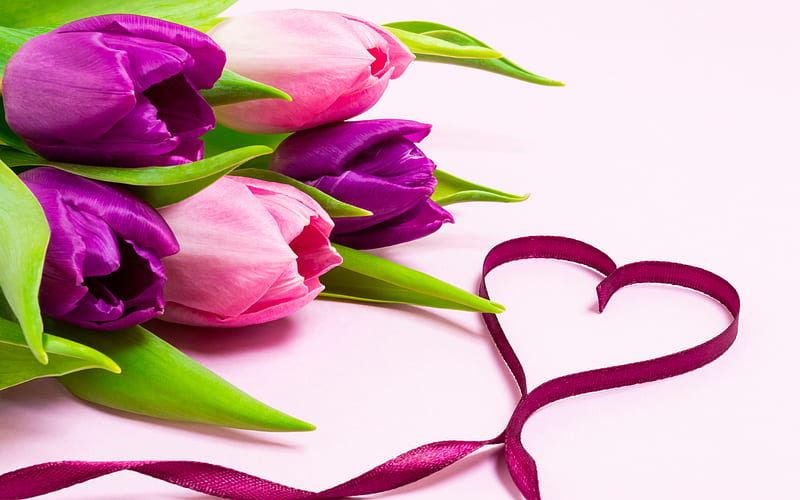 tulips, pink tulips, purple tulips, love spring, silk ribbon heart, spring flowers, HD wallpaper