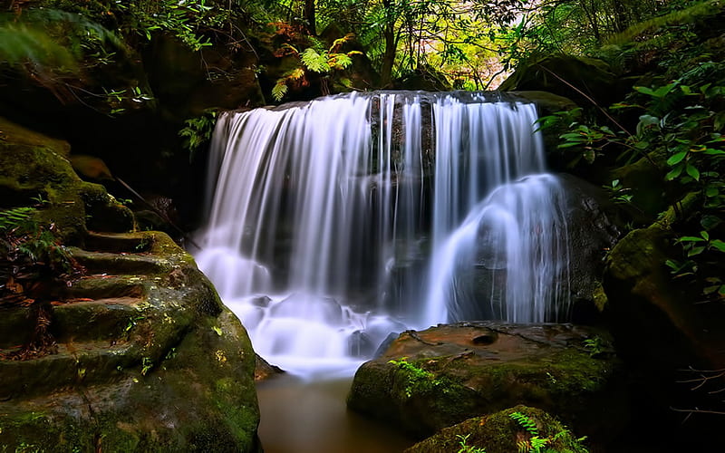 Weeping Rock Waterfall, Australia, Forest, Waterfall, Australia, Nature, HD wallpaper