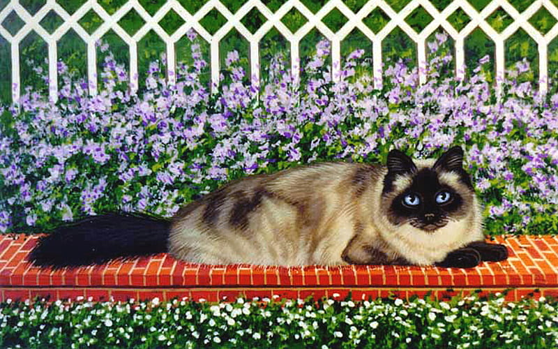Edgewood Dirk - Cat 1, sue wall, art, cat, wall, artwork, floral, animal, burmese, pet, feline, painting, wide screen, flowers, garden, HD wallpaper