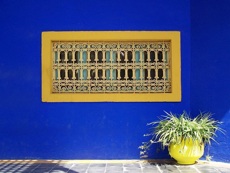 Marrakech, window, green, plant, yellow, wall, blue, HD wallpaper