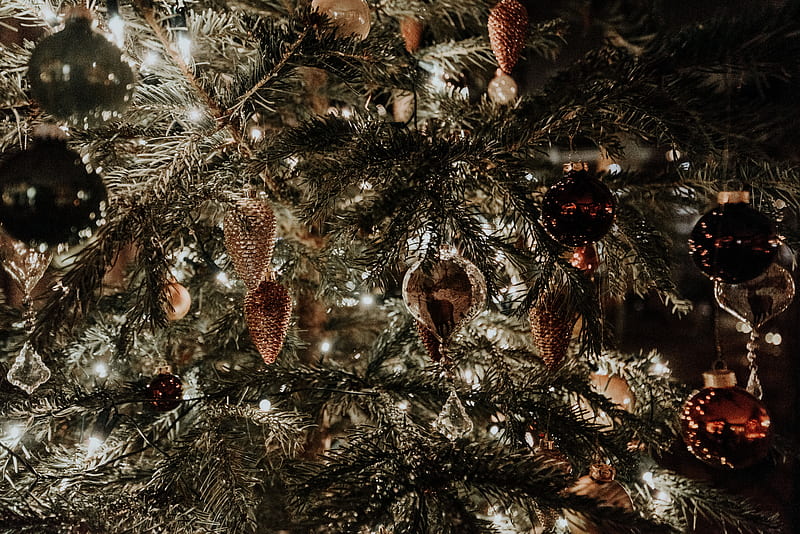 Cây thông Noel màu xanh được trang trí đèn lung linh đã sẵn sàng chào đón một mùa Giáng sinh đầy ấm áp và đầy niềm vui. Bức ảnh này sẽ cho bạn cảm giác như đang đứng giữa một rừng cây thông Noel mênh mông.