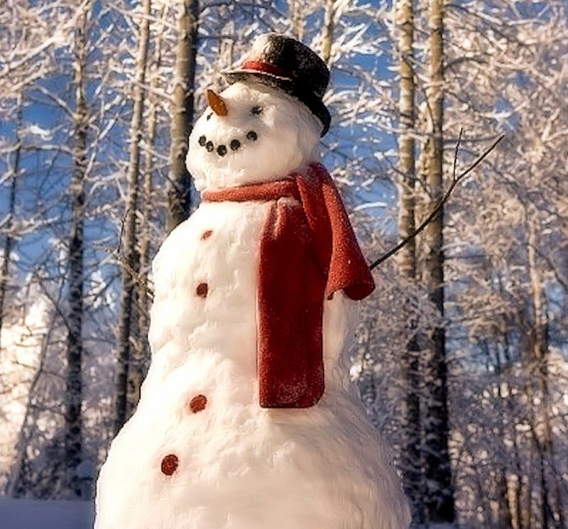 Cute Snowman, love, snow, winter, HD wallpaper