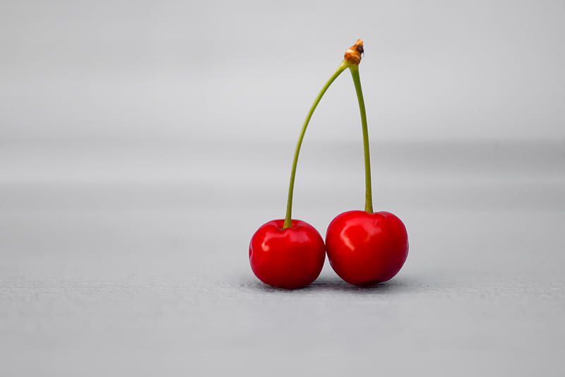 cherry, fruit, white background, HD wallpaper