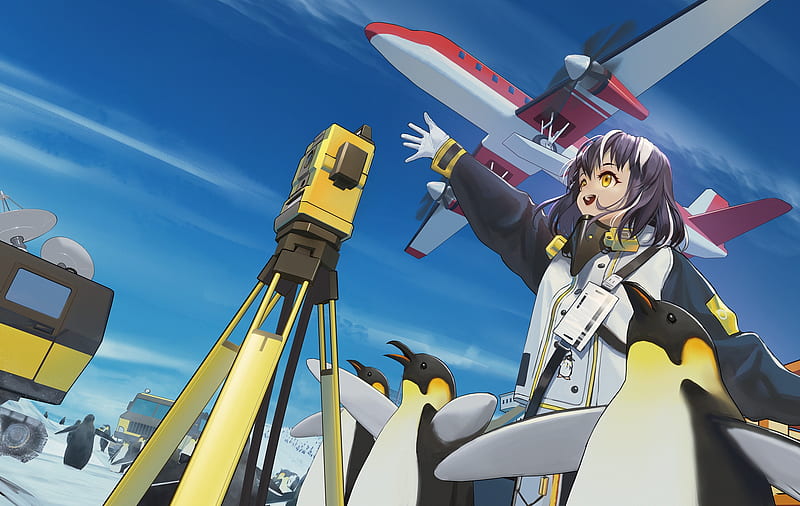 arknights, airplane, penguin, magallan, anime games, Anime, HD wallpaper