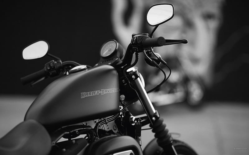 Black Harley Davidson-, HD wallpaper