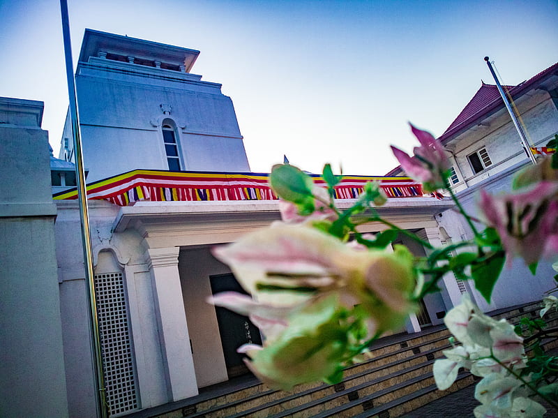 Ananda College , temple, viharaya, HD wallpaper