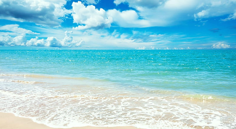 Sunny holiday, summer, nature, tropical, landscape, scene, sea, ocean, sunny, beach, seashore, HD wallpaper