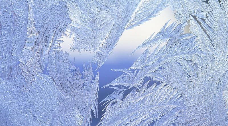 Frosted window close-up, ice, abstract, cold, winter, frosty, iceflower, graphy close-up, macro, frozen, frost, HD wallpaper