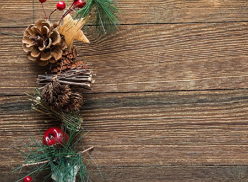 Christmas Ornament, Ornamen, pLant, Wood, Christmas, HD wallpaper