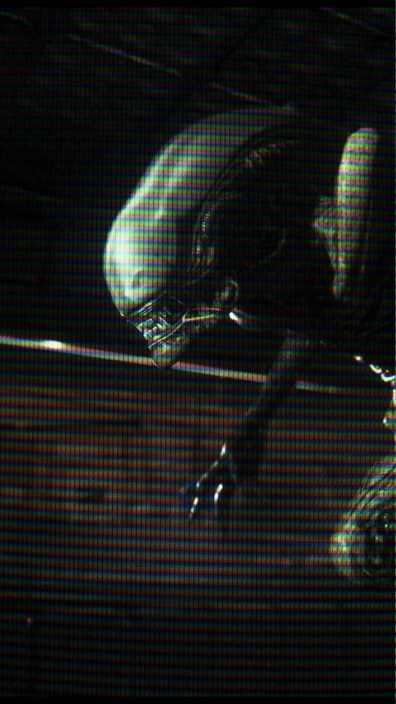 Xenomorph, alien, alien isolation, computer, retro, static, HD phone wallpaper