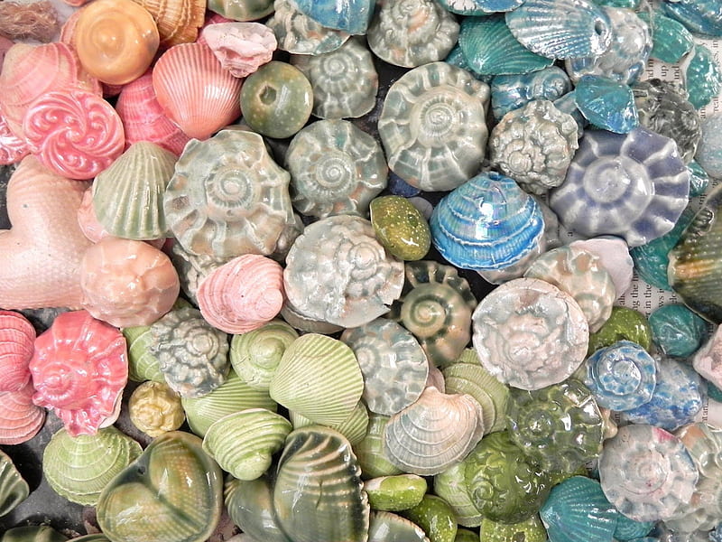 mano Definición Producción Conchas de colores, océano, colores, mar, concha, agua, verde, verano,  rosa, Fondo de pantalla HD | Peakpx