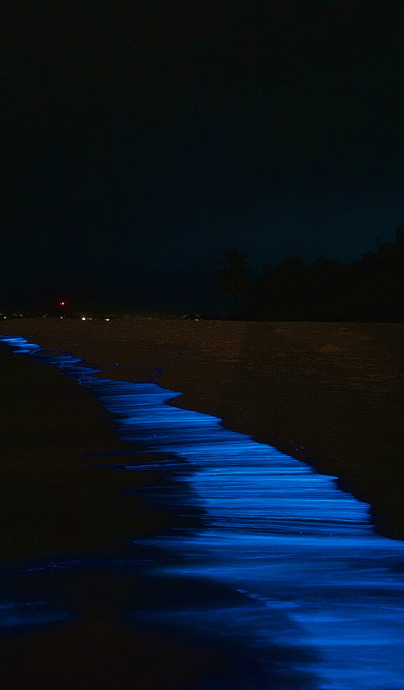 bioluminescent, bioluminescence, dark, glowing beach, lagoon, maldives, night, ocean, planktons, sea, HD phone wallpaper