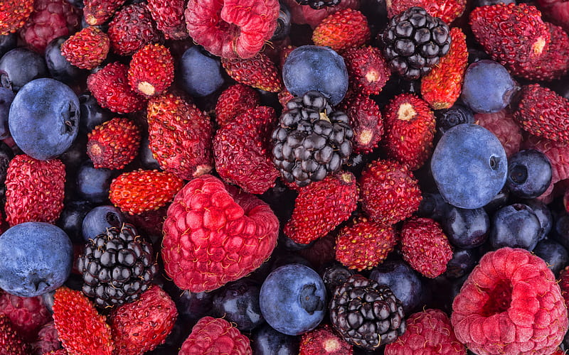 raspberries, blackberries, strawberries, blueberries, berries, food textures, fresh fruits, HD wallpaper