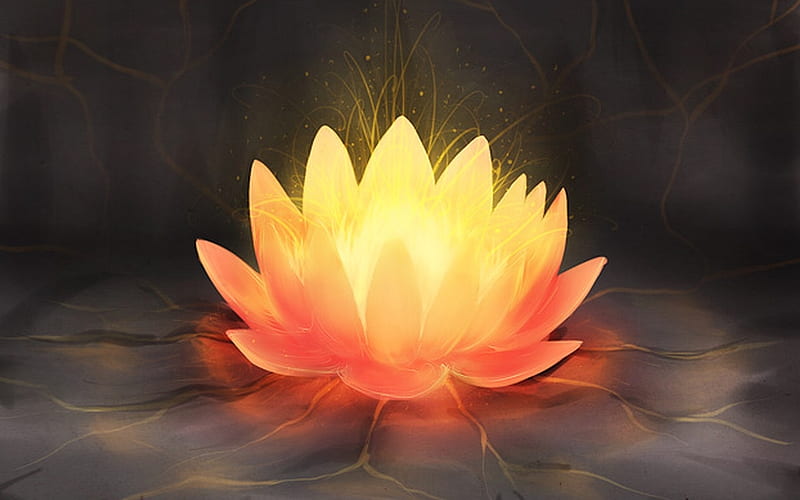 Fire Lotus, fire, Lotus, orange, yellow, flower, abstract, HD wallpaper
