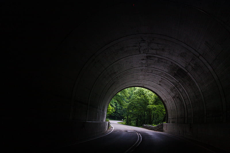 tunnel near trees at daytime, HD wallpaper